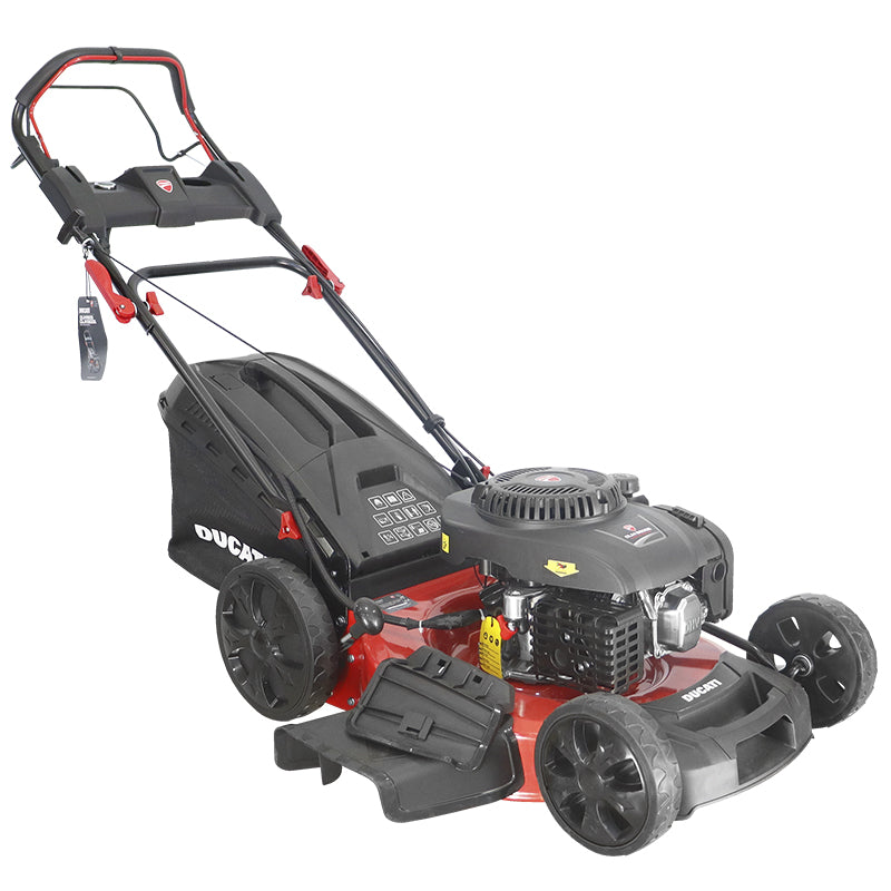Cortacésped Ducati DLM5600E