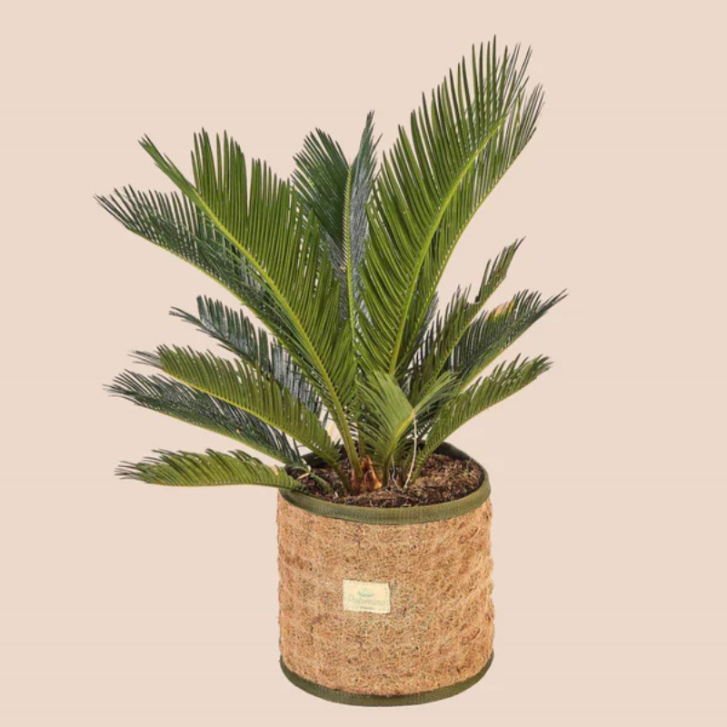 Cesta Redonda de Fibra de Coco Natural