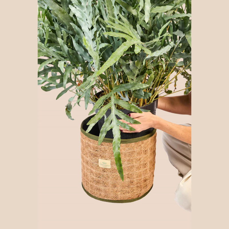 Cesta Redonda de Fibra de Coco Natural