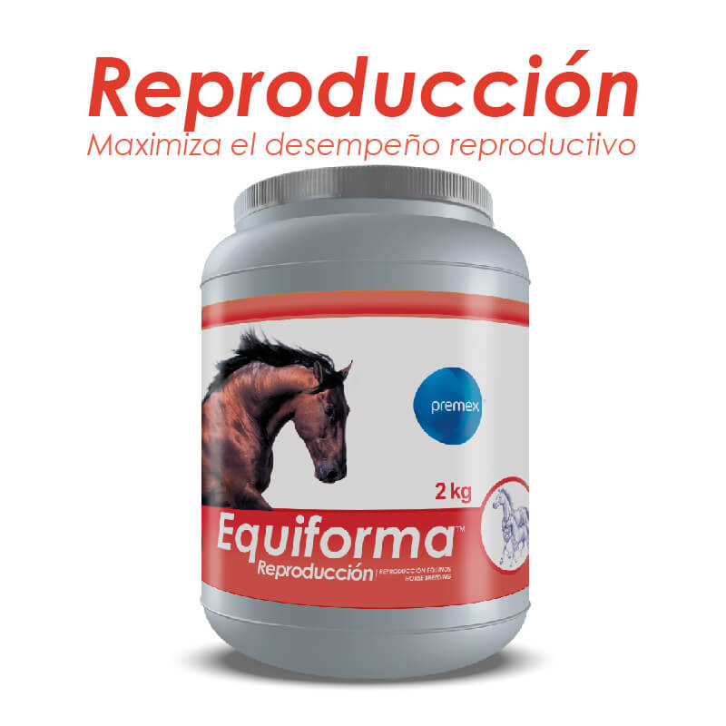 Equiforma Reproducción x 2 Kg