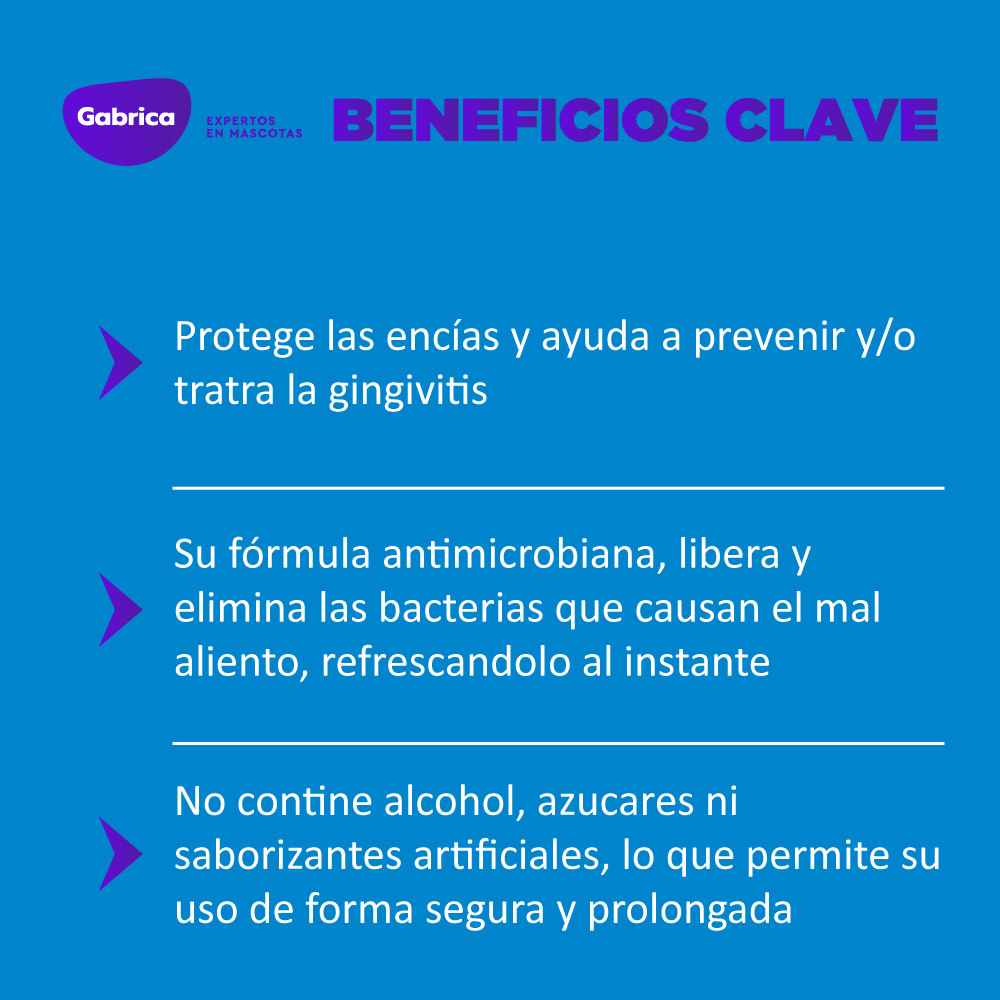 Spray Oral Dental Fresh Original Dogh 80Oz