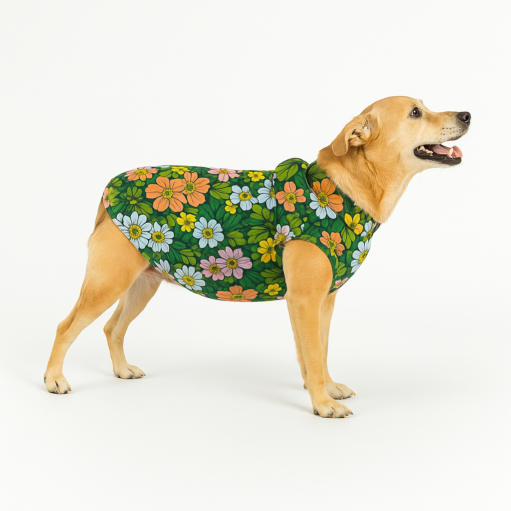 Faja Postquirurjica para Macho (Perro o Gato)