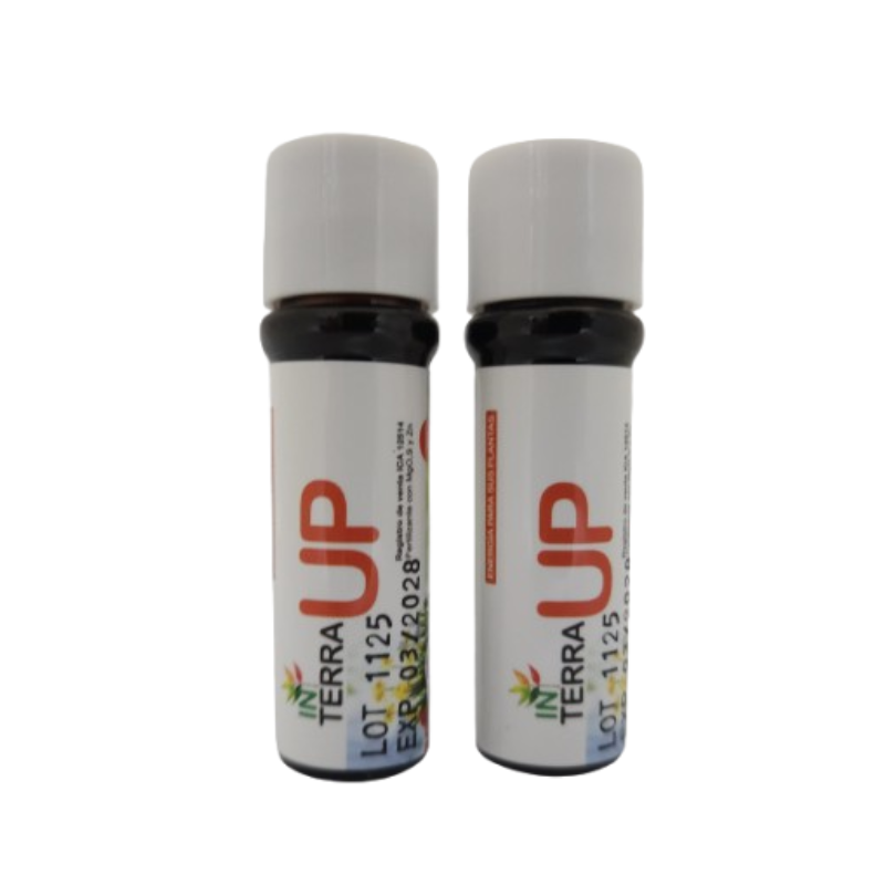 In Terra UP Fertilizante