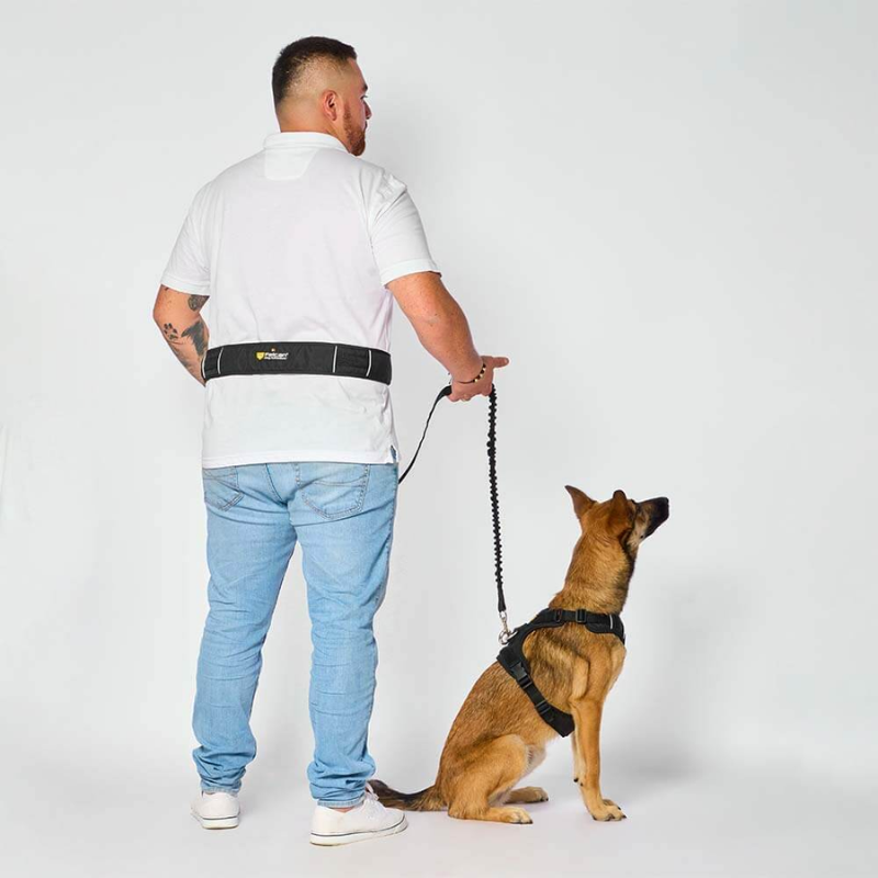 Correa Manos Libres para Perro