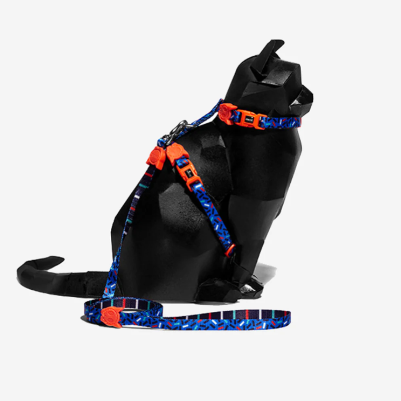 Zeedog Gato Arnés + Correa Astro