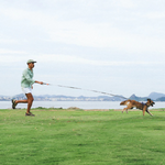 Zeedog Perro Correa Long Leash