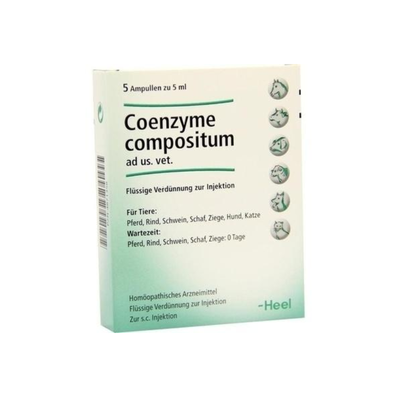 Coenzyme Compositum x Ampolla