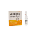 Solidago Compositum x Ampolla