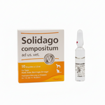 Solidago Compositum x Ampolla