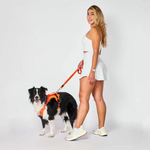 Arnés Felcan para Perro Talla L