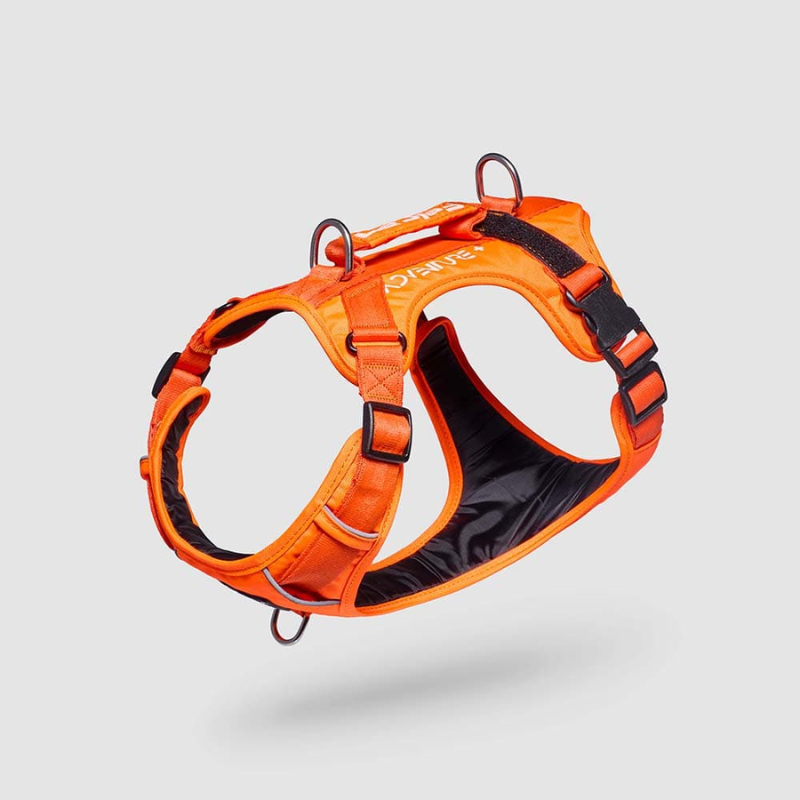 Arnés Felcan para Perro Talla L