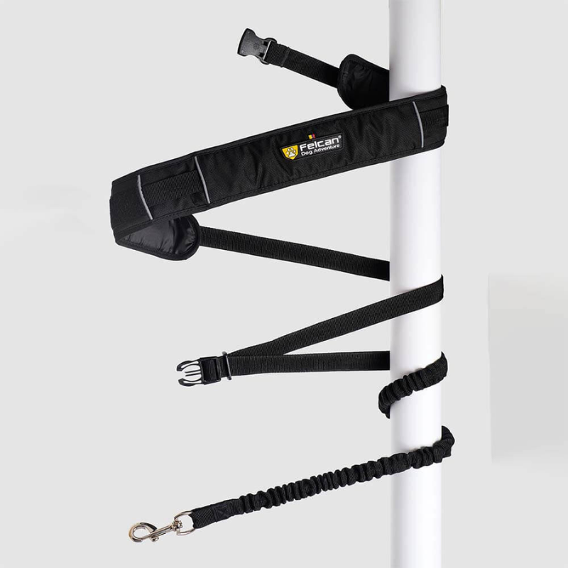 Correa Manos Libres para Perro