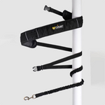 Correa Manos Libres para Perro