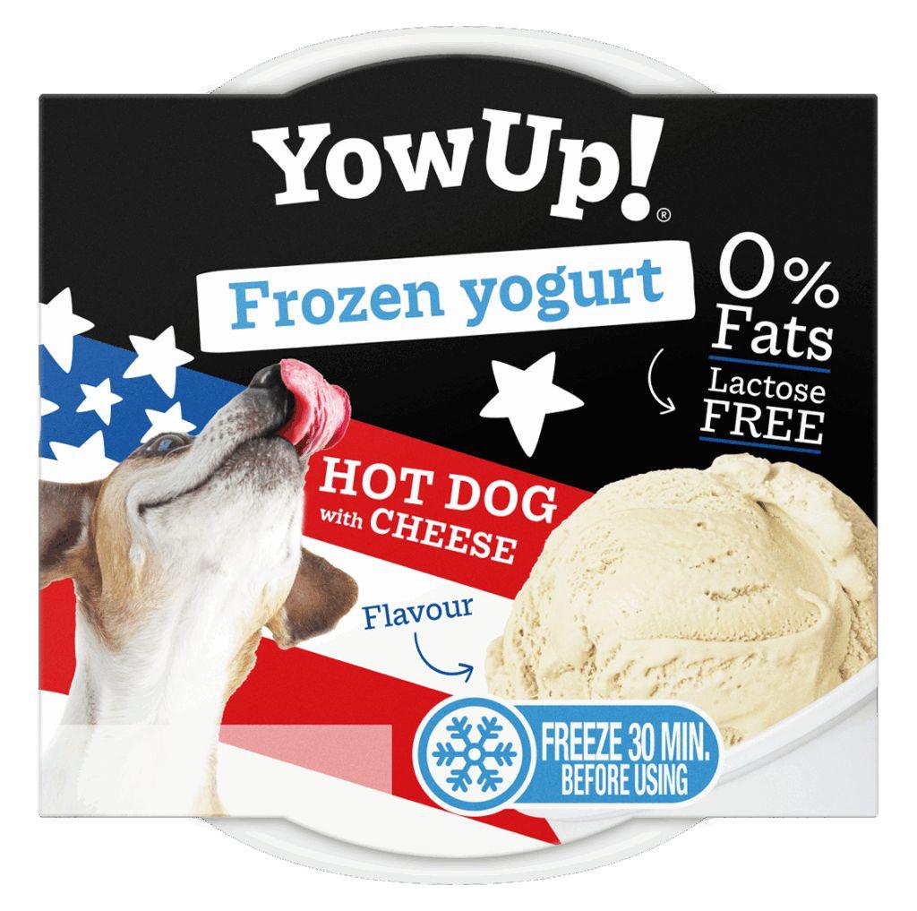 Frozen yogurt yowUp 110g