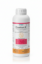 Ǫuetion K