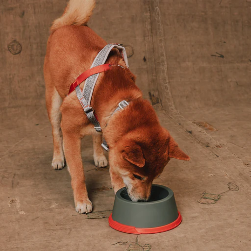 Zeedog Suede Melamine Bowl S Comedero para Mascotas