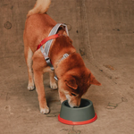 Zeedog Suede Melamine Bowl S Comedero para Mascotas
