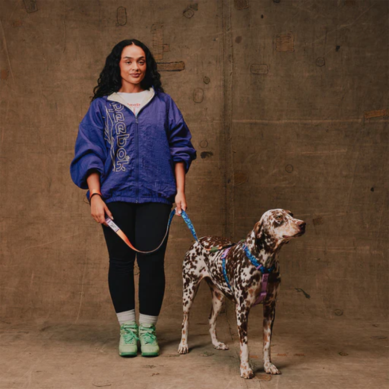 Zeedog Trekk H-Harness Arnés para Perros