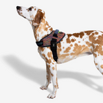 Arnés Vortex Fly Harness para Perros
