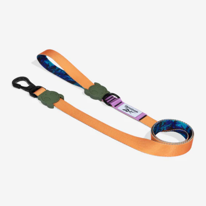 Zeedog Trekk Leash Correa para Perros
