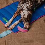 Zeedog Boomerang Reebok Toy Juguete para Perros