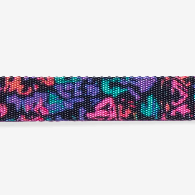 Zeedog Aerobic Collar para Perros