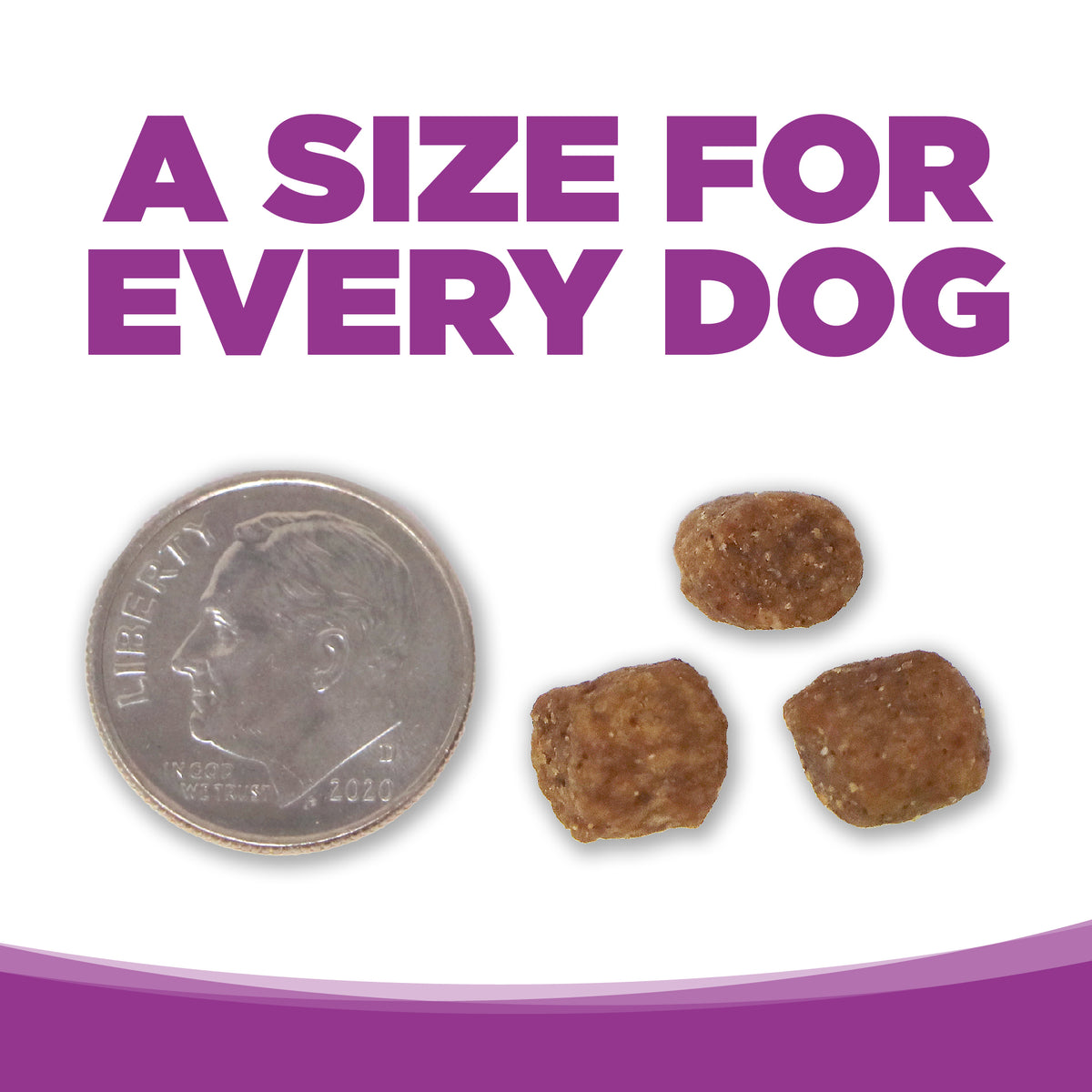 NutriSource Cachorro Perro Raza Grande Pollo y Arroz