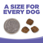 NutriSource Cachorro Perro Raza Pequeña y Mediana Pollo y Arroz