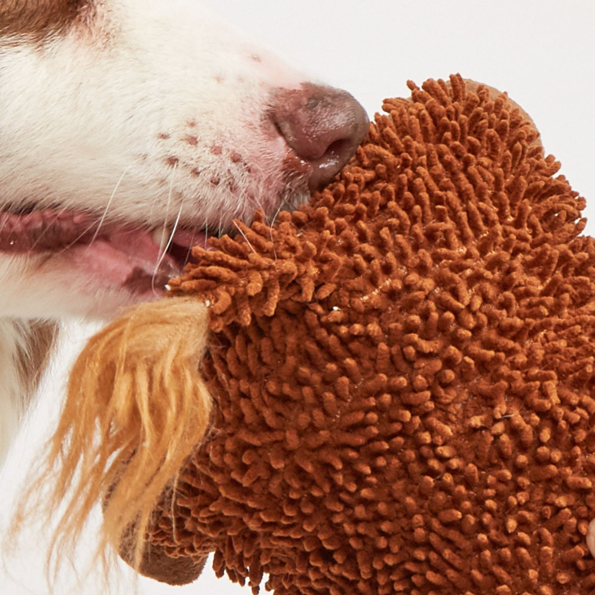 Juguetes Resistentes para Perros