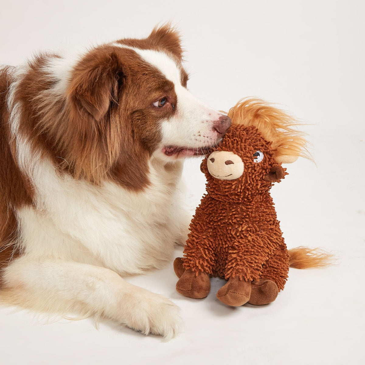 Juguetes Resistentes para Perros