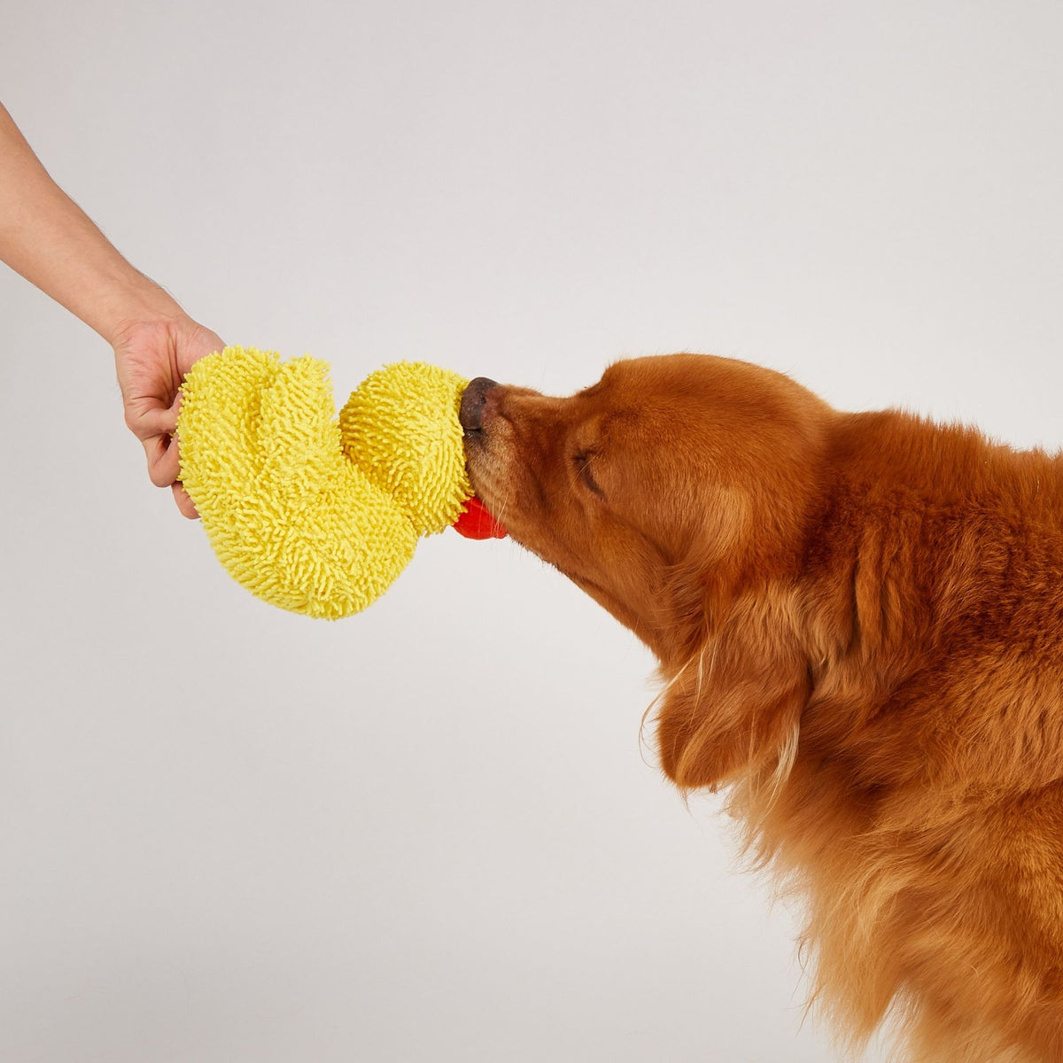 Juguetes Pato Jeep para Perros