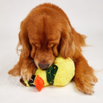 Juguetes Pato Jeep para Perros