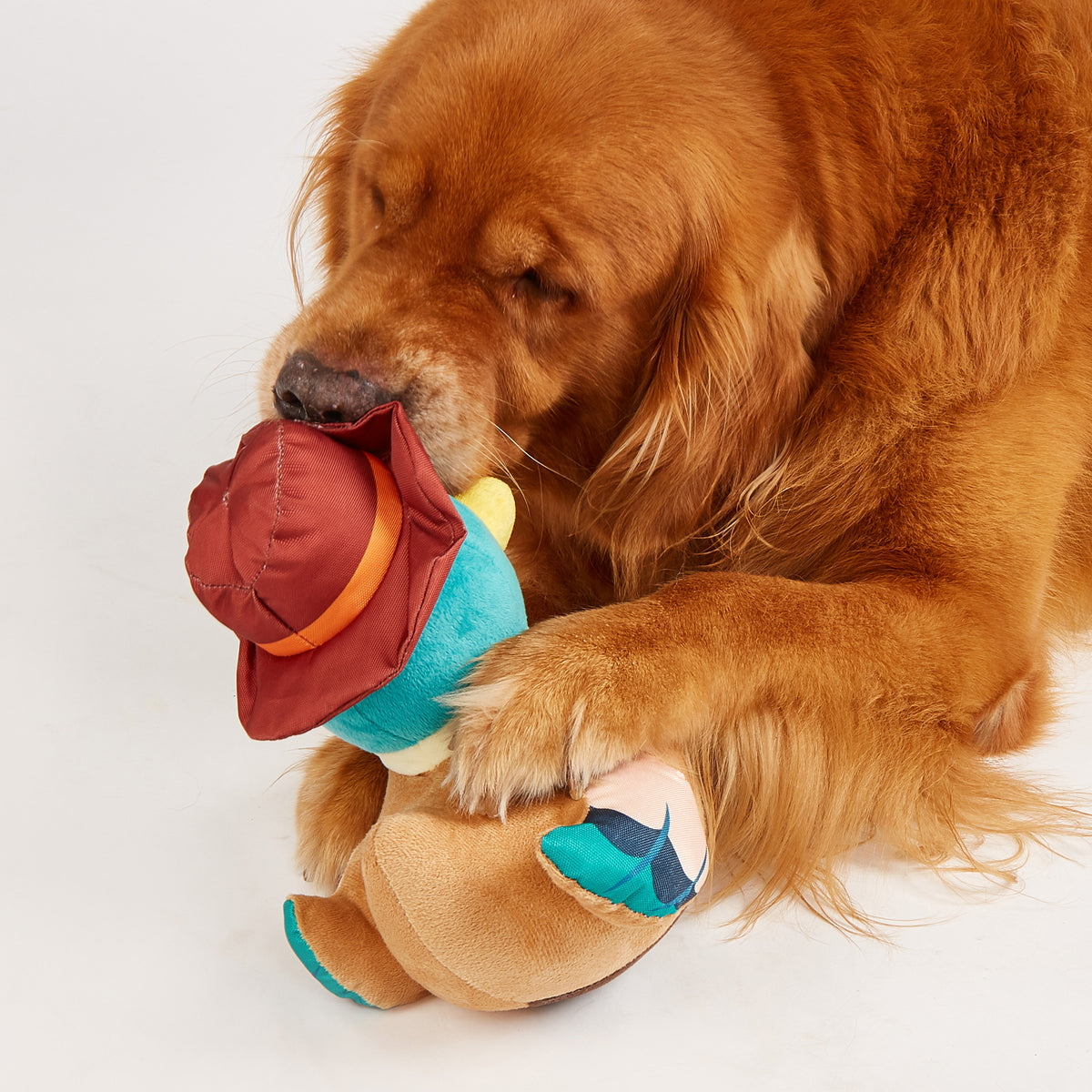 Juguetes Pato Jeep para Perros