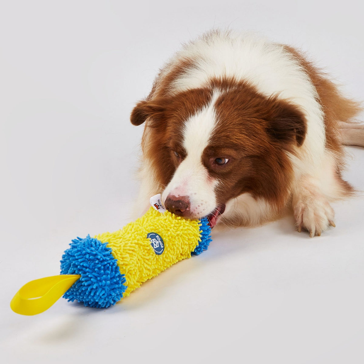 Juguetes Deportivos para Perros