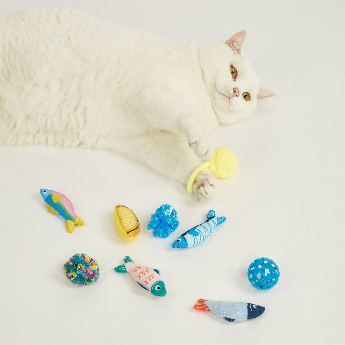 Sardina para Gato 9 Piezas