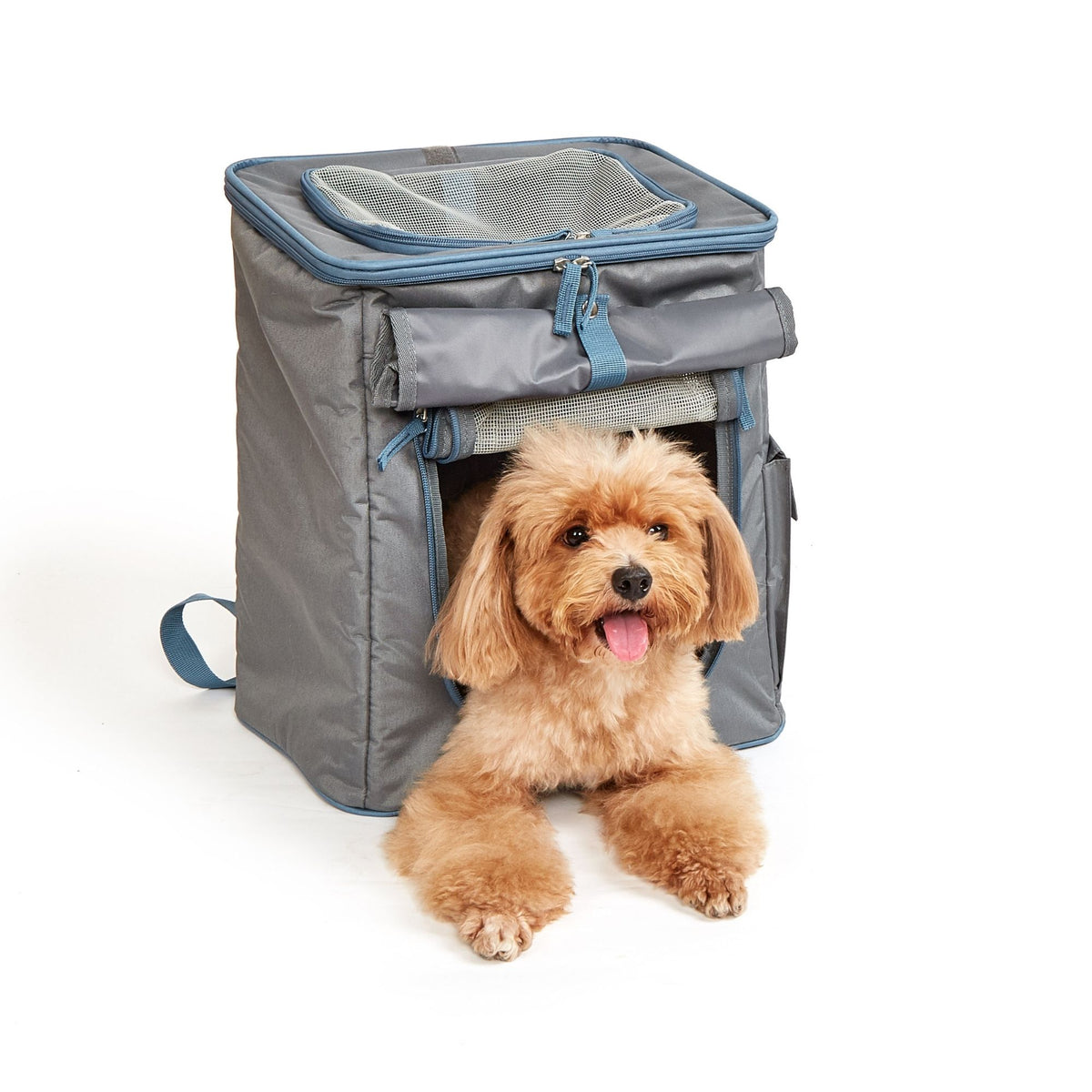 Mochila Transportadora Gris/Azul