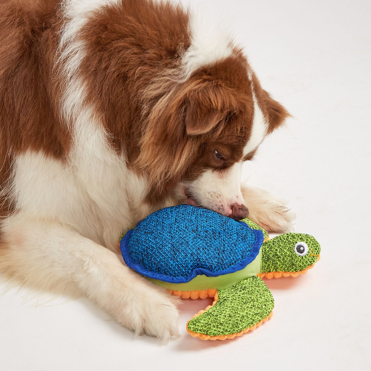 Peluches Verano para Perros
