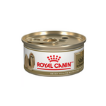 Royal Canin Shih Tzu Lata 85G