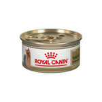 Royal Canin Yorkshire Lata 85G