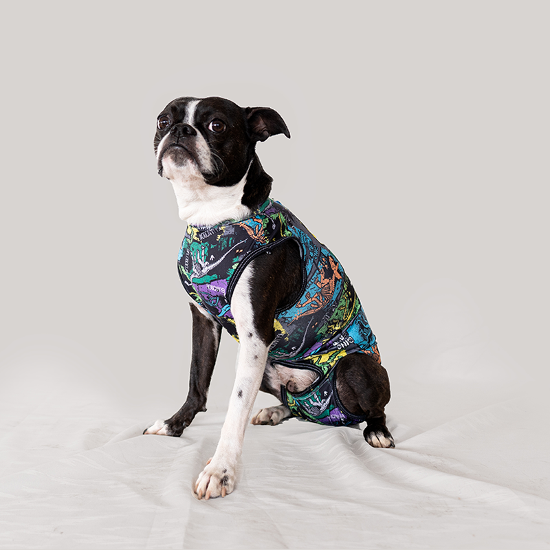 Faja Postquirurjica para Macho (Perro o Gato)