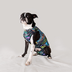 Faja Postquirurjica para Macho (Perro o Gato)