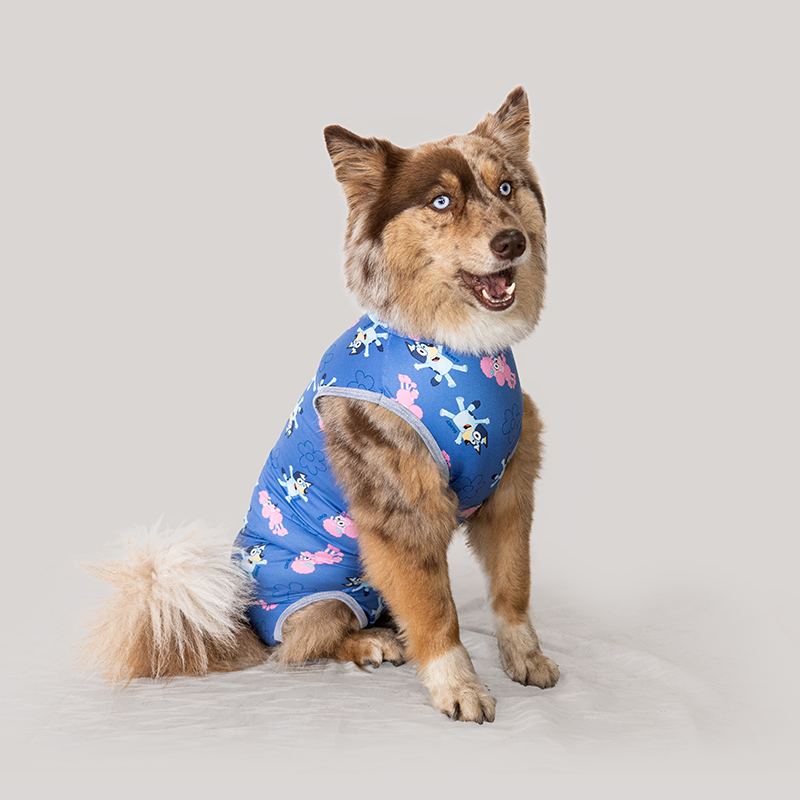 Faja Postquirurjica para Macho (Perro o Gato)