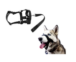 Bozal Halti Perro Tallas S. M. L