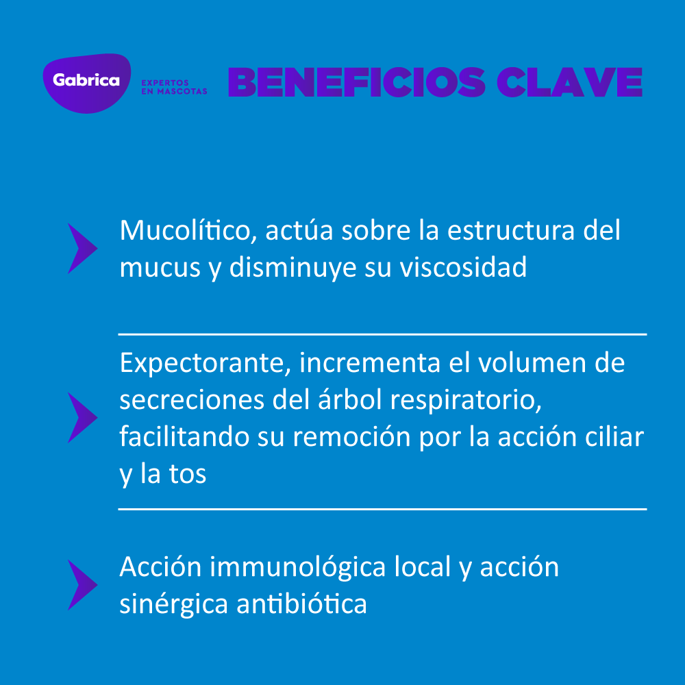 Mucolítico Solubron para Perros y Gatos 20 mg x 10 Tabletas