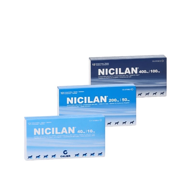 Nicilan perros y gatos