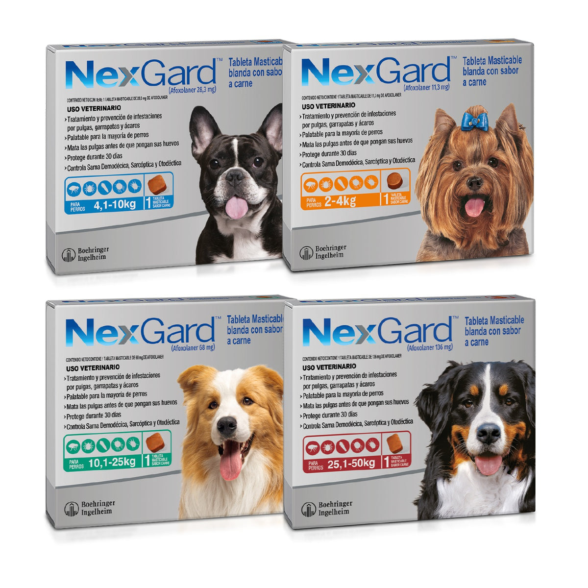 Nexgard Desparasitante para Perros