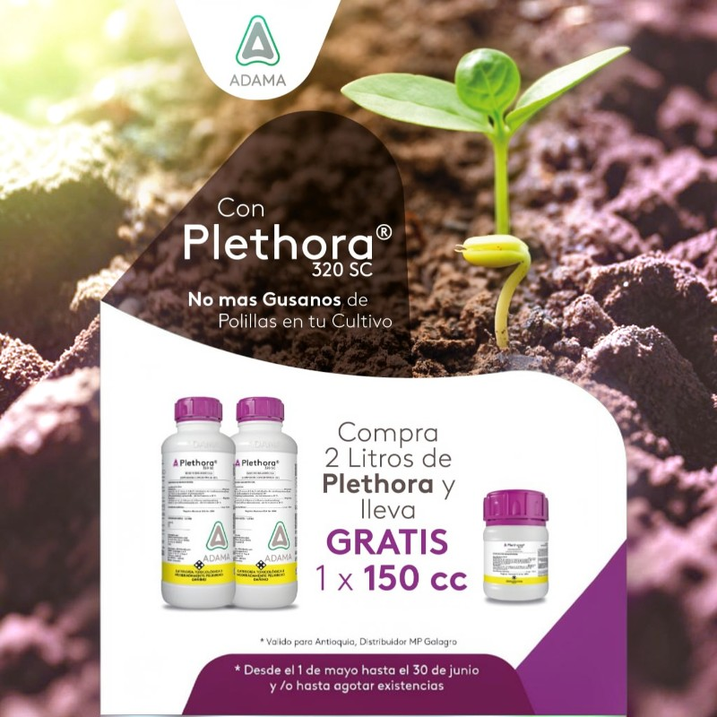 Plethora Insecticida