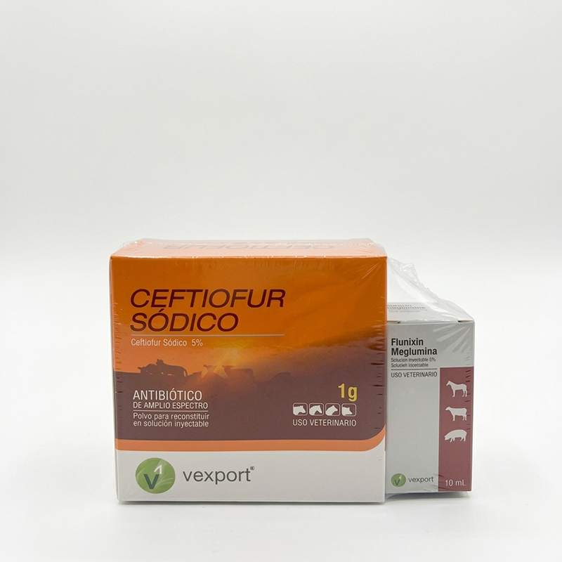 Ceftiofur sodico 1 g + flunixin megl 10 ml