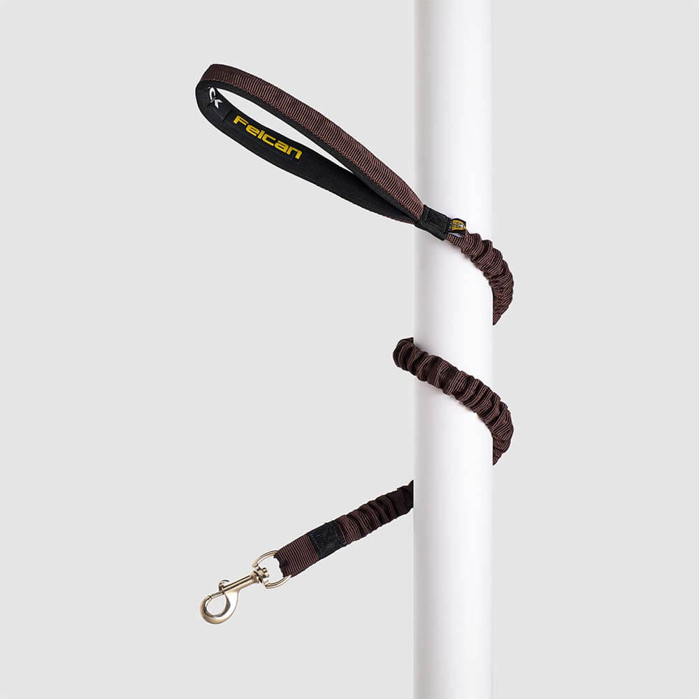 Correa Grande Anti-Shock Perros