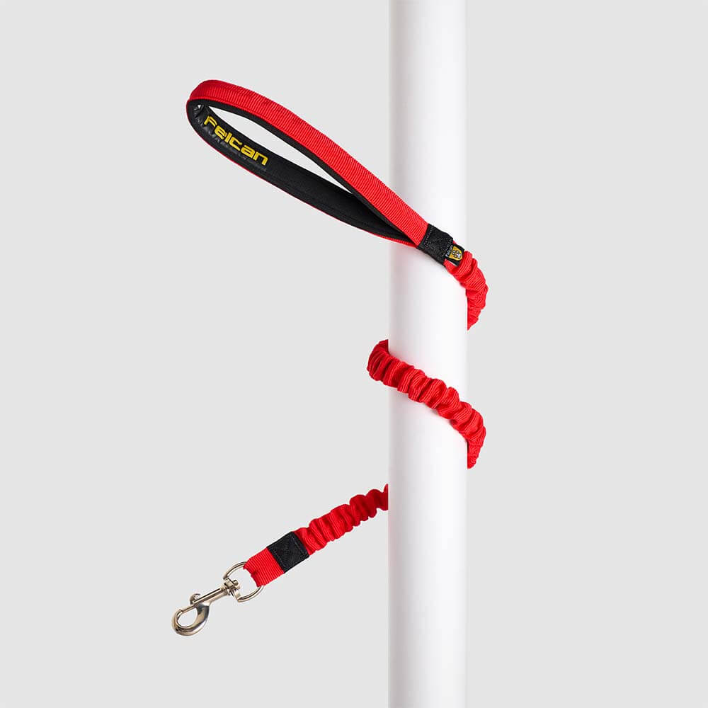 Correa Anti-Shock Mediana/Pequeña Perros